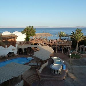 Inmo Divers Home